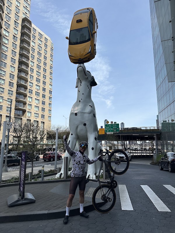 Dalmatian and Taxi Sculpture "Spot"
