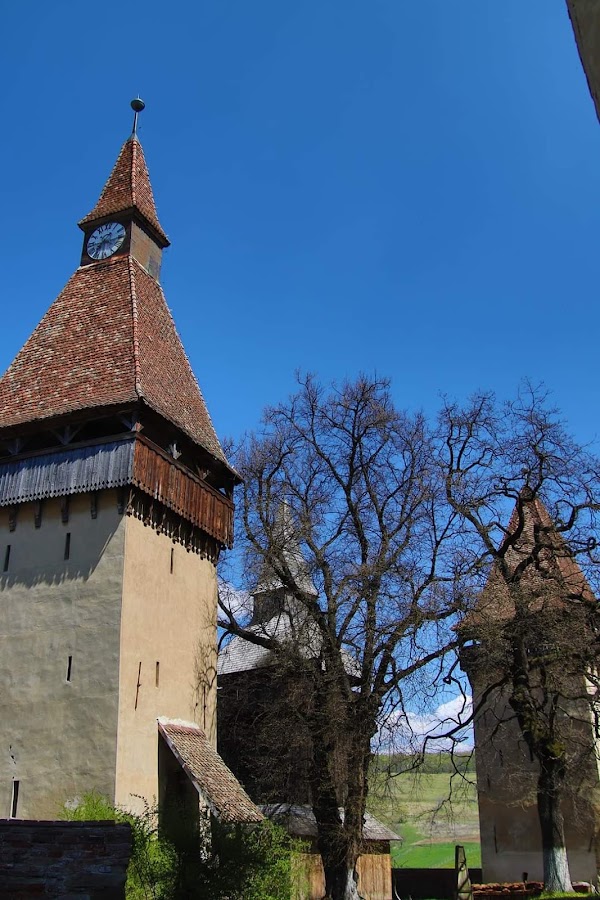 Biertan 3