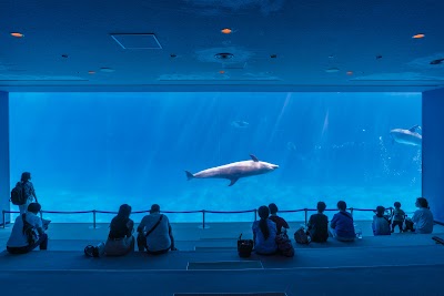 Port Of Nagoya Public Aquarium 1