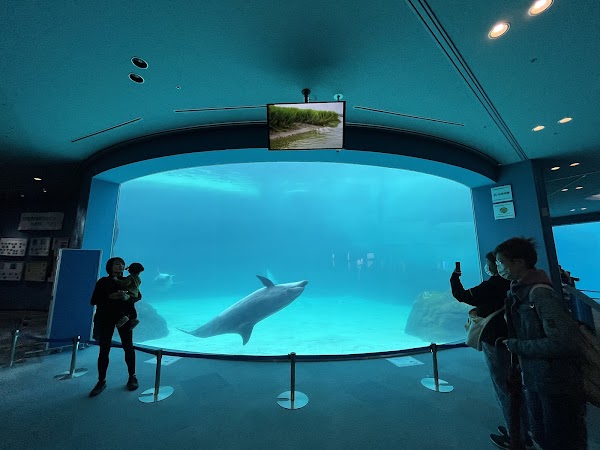 Port Of Nagoya Public Aquarium 5