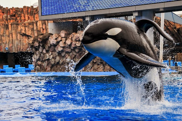 Port Of Nagoya Public Aquarium 4