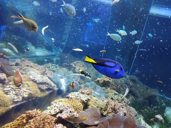 Port Of Nagoya Public Aquarium 3