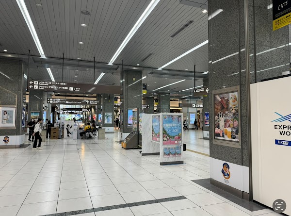 Shizuoka Station