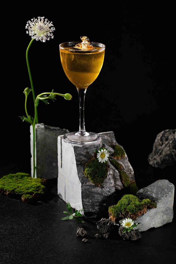 Nectar Hideaway: Speakeasy Rooftop Cocktails Bar 5