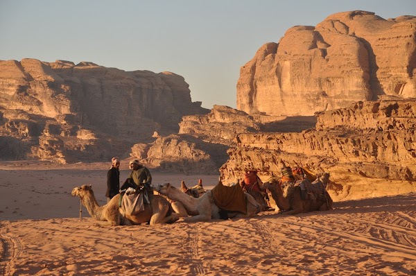 Wadi Rum Protected Area 3