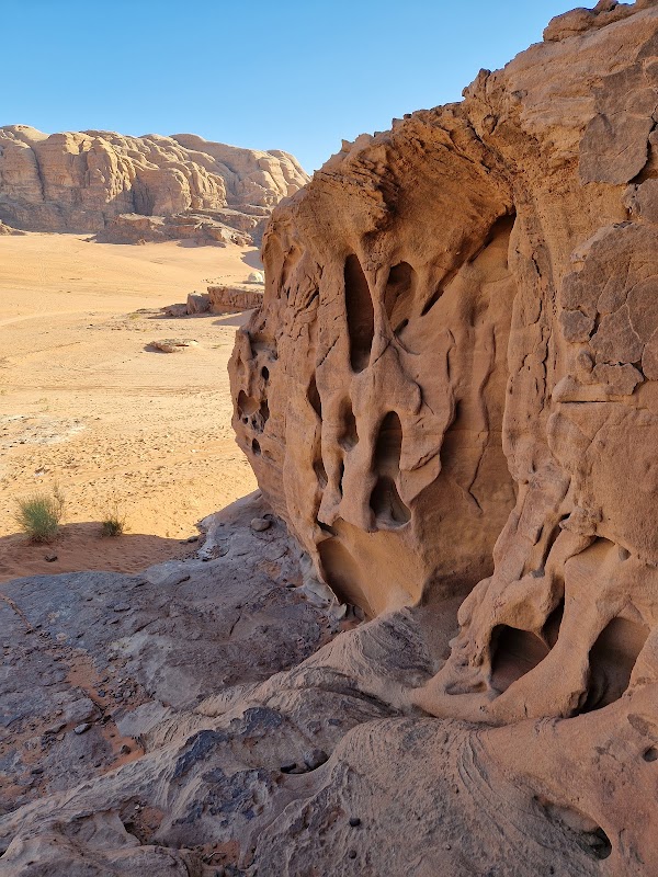 Wadi Rum Protected Area 2