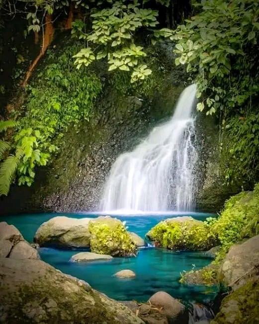 Tetebatu 5