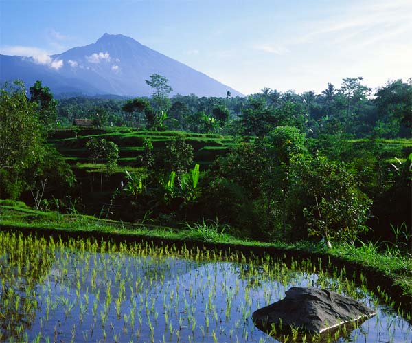 Tetebatu 4