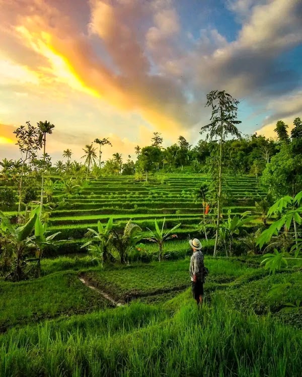 Tetebatu 2