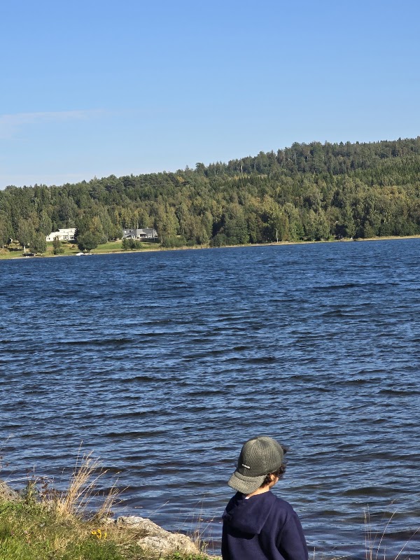 Härnön 1