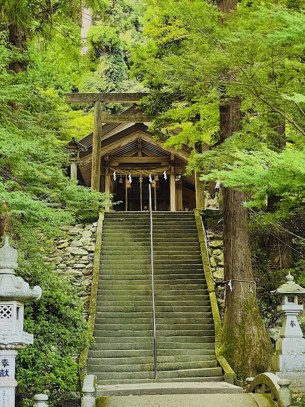 Inotenshokodai Shrine 5