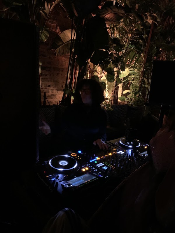 DISCO 2