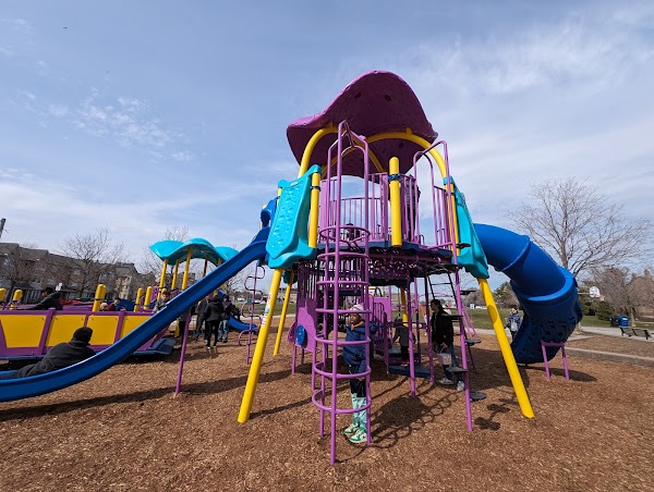 Cynthia Lai Park