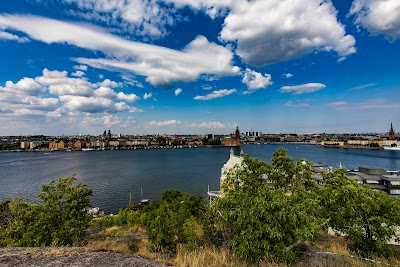 Skinnarviksberget 1