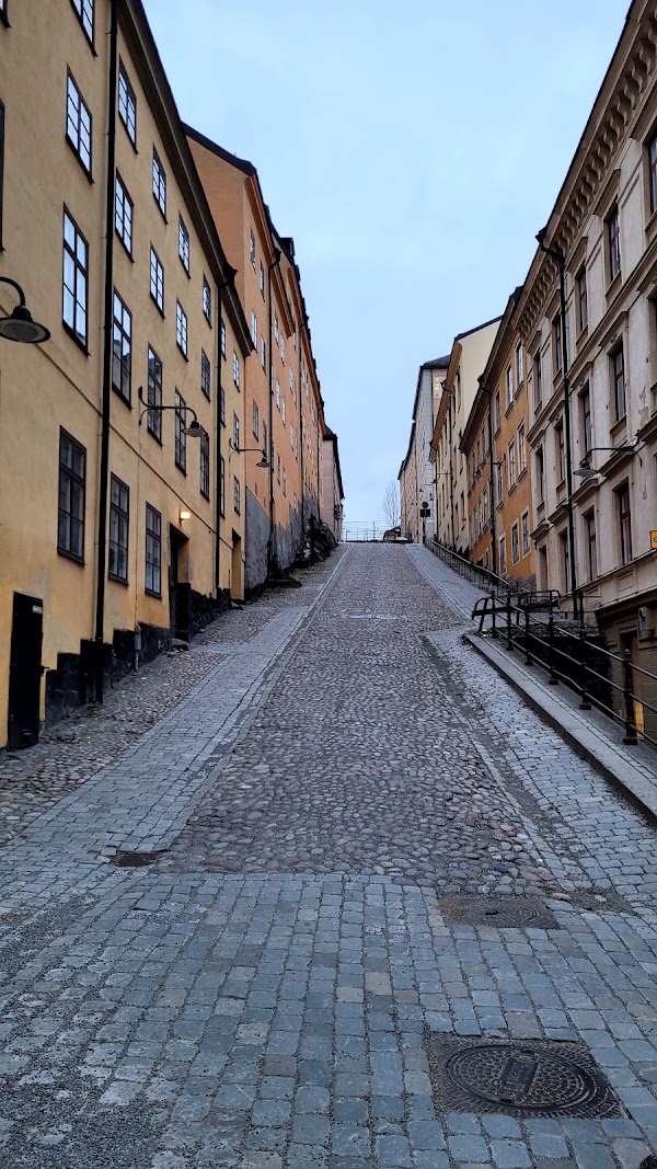Skinnarviksberget 4