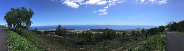 Ulupalakua
