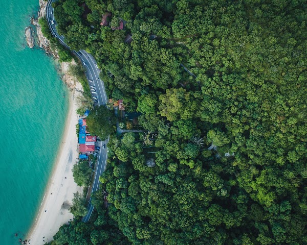 Penang 51