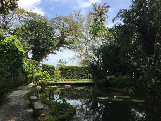 Tropical Spice Garden | Events Venue | Cooking Classes | Spice Store 4