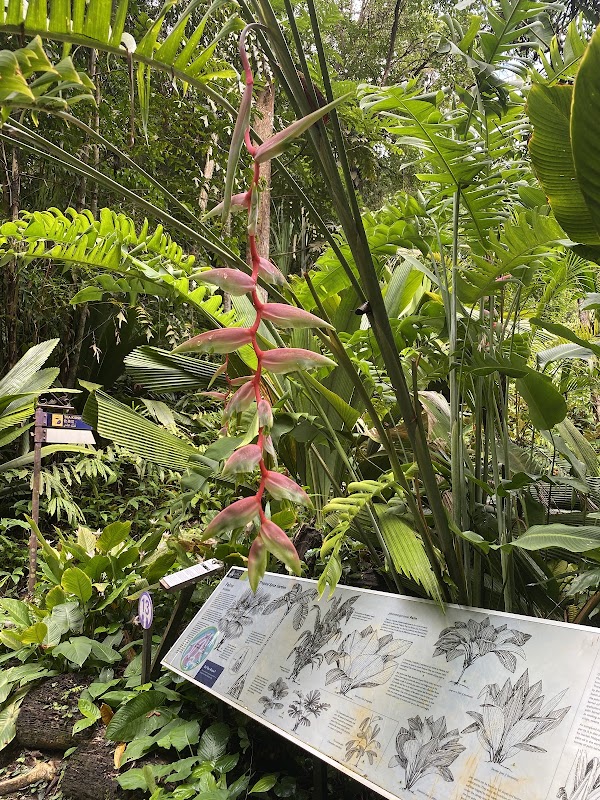 Tropical Spice Garden | Events Venue | Cooking Classes | Spice Store 2