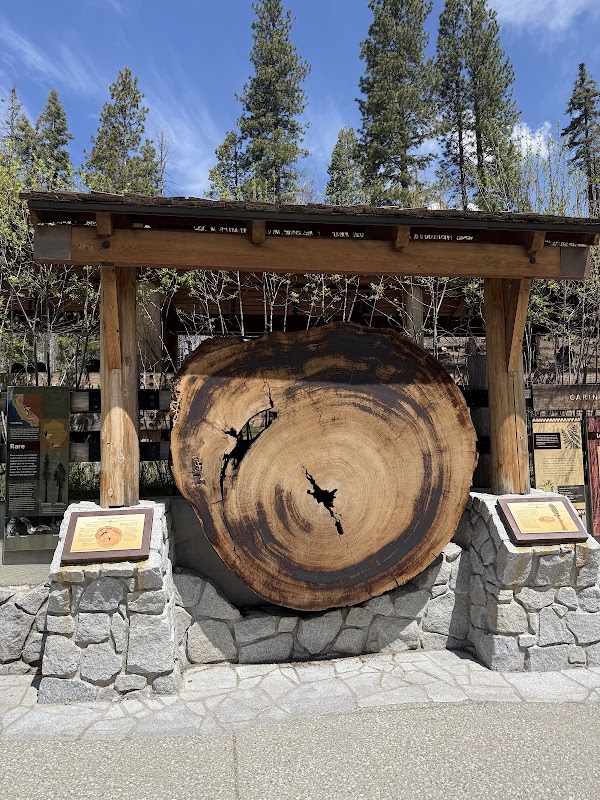 Mariposa Grove Welcome Plaza 5