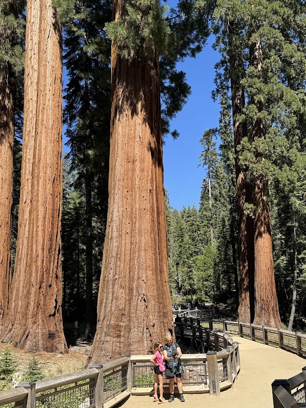 Mariposa Grove Welcome Plaza 4