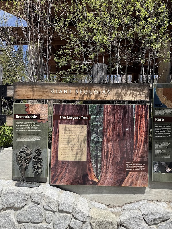 Mariposa Grove Welcome Plaza 3
