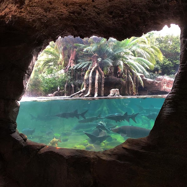 Bioparc Fuengirola 5