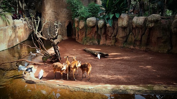 Bioparc Fuengirola 3