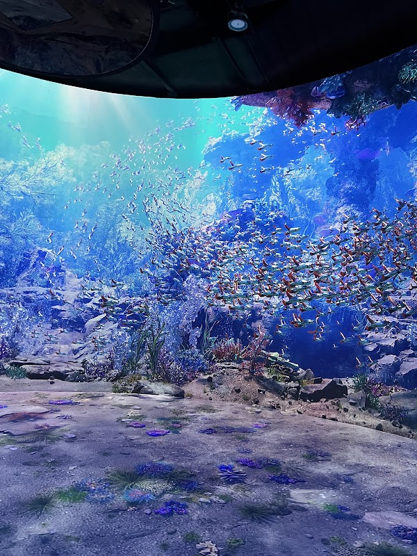 르 스페이스 인스파이어(Le Space) 4