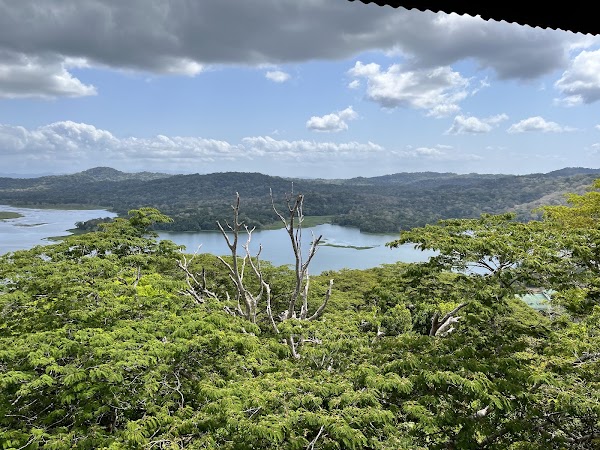 Gamboa Rainforest Reserve 4
