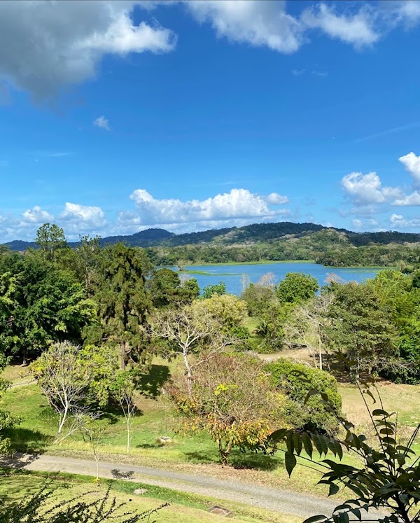 Gamboa Rainforest Reserve 3