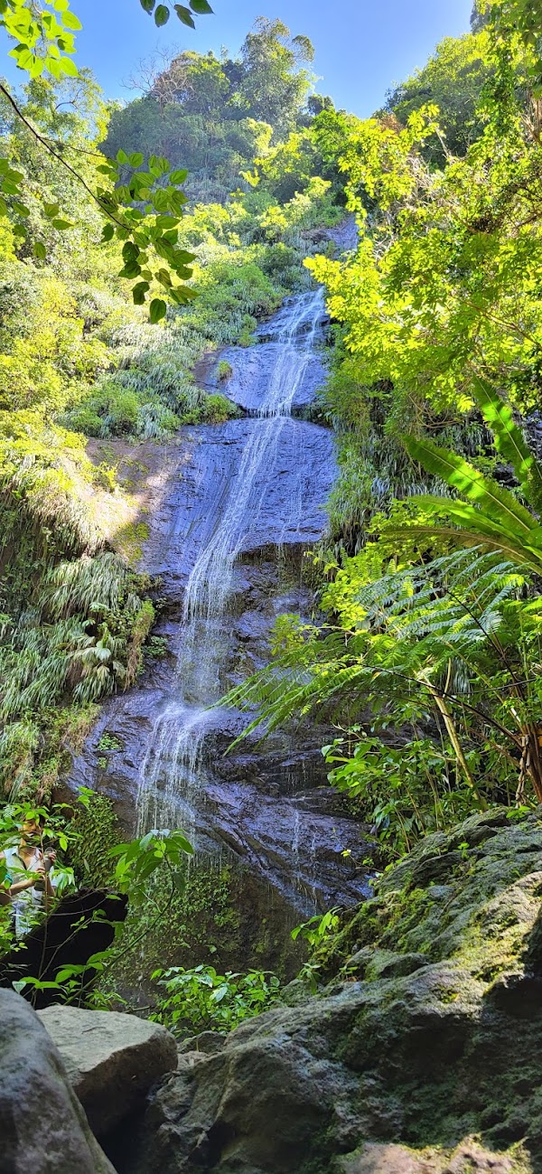 anse couleuvre 5