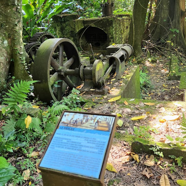 anse couleuvre 2