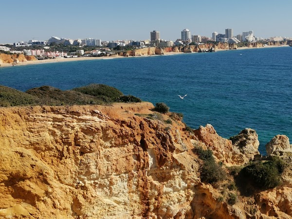 Alvor