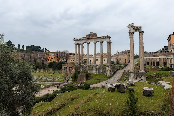 Trajan Forum 2
