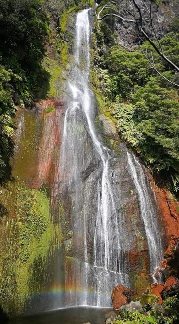 Ponta da Fajã, ilha das Flores