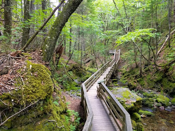 Dickson Falls 5