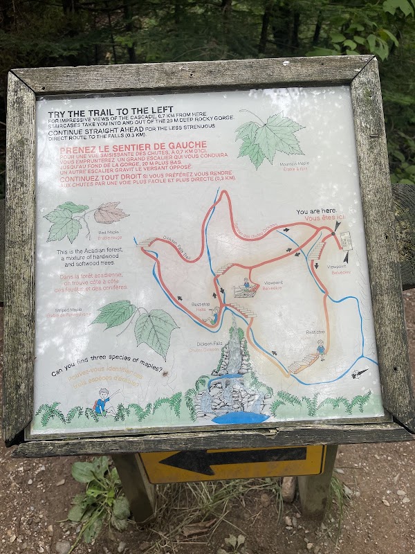 Dickson Falls 3