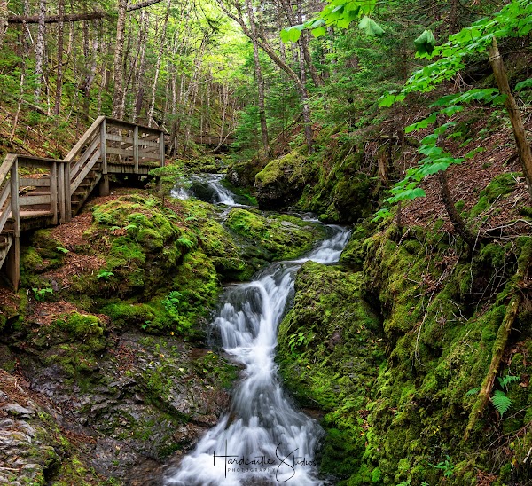 Dickson Falls 2