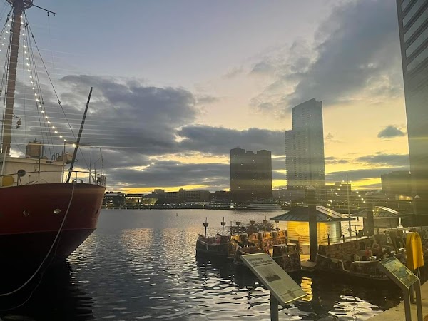 Baltimore 5