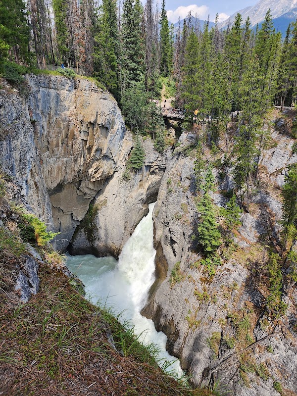 Sunwapta Falls 5