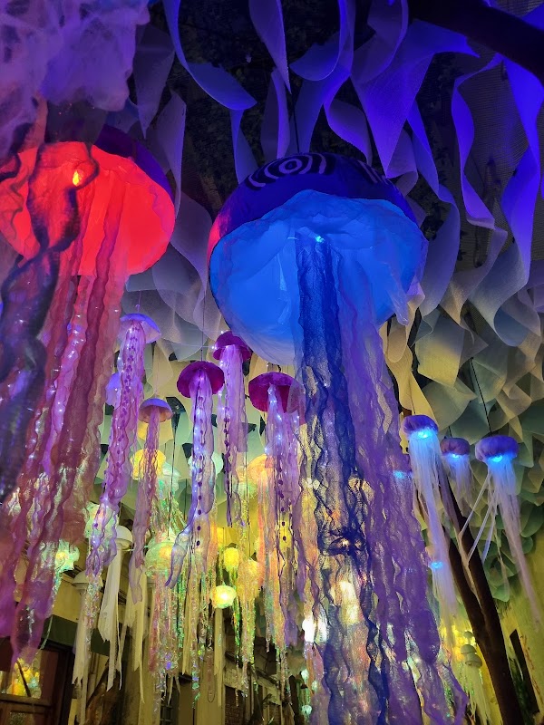 Festa Major de Gràcia - Carrer Puigmartí 1