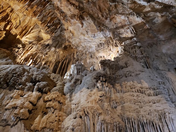 Shasta Caverns Road 4