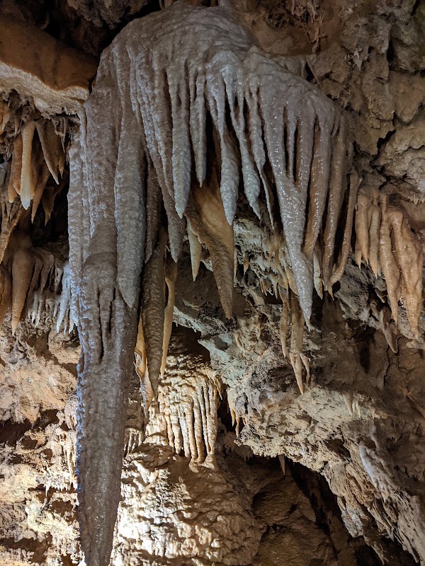 Shasta Caverns Road 3