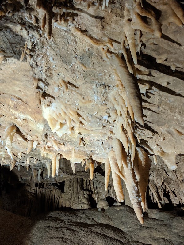 Shasta Caverns Road 2