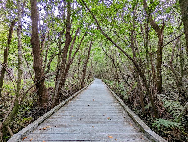 Four Mile Cove Ecological Preserve
