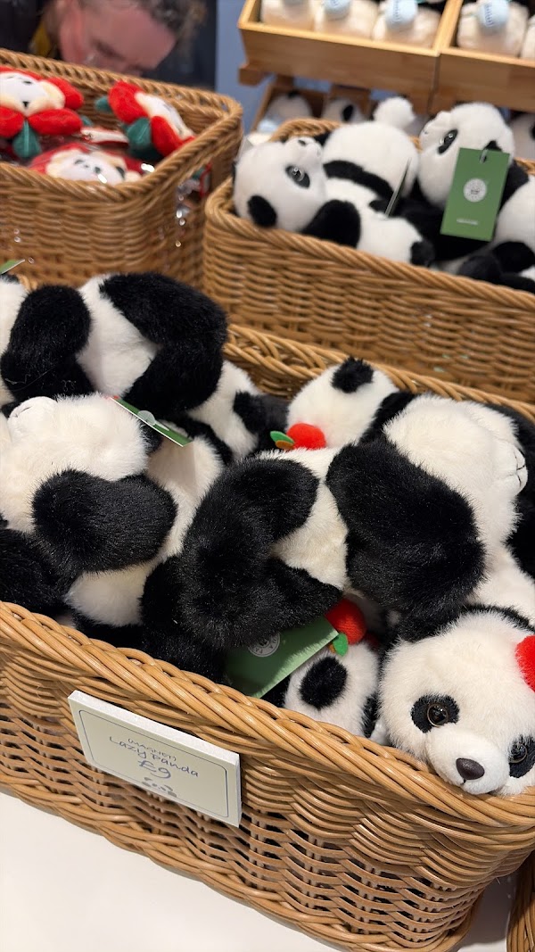 Rua Rua Panda 3