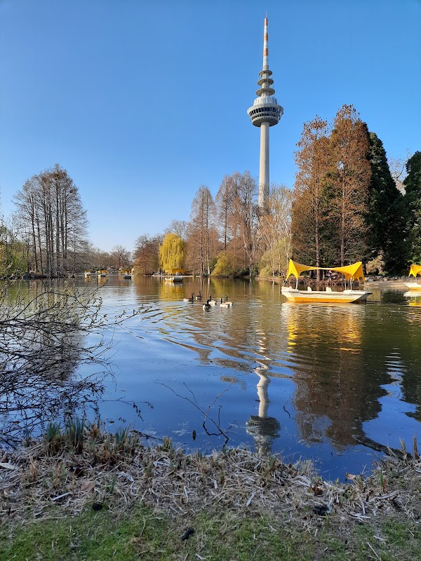 Luisenpark