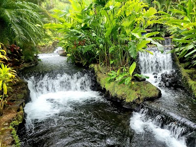 Tabacon Hot Springs