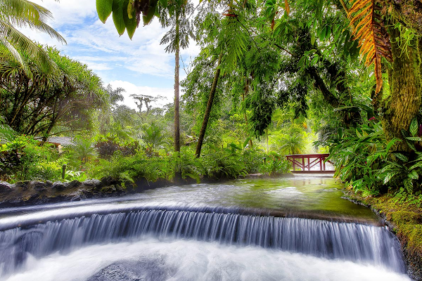 Tabacon Hot Springs 5